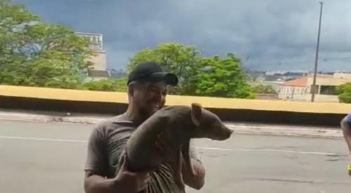 Imagem de destaque