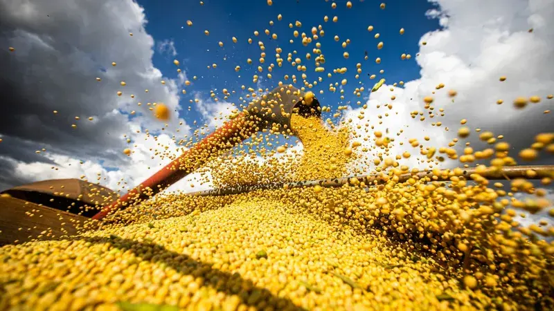 Colheita da soja em regiões como o Mato Grosso impactam o custo do frete