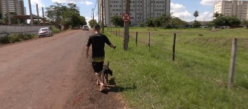 Imagem de destaque