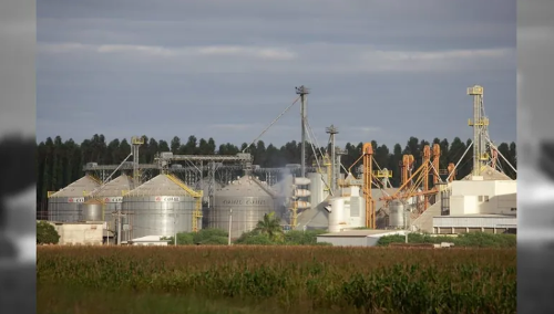 Capacidade de estocagem de grãos no Brasil cresce, mas ainda é insuficiente