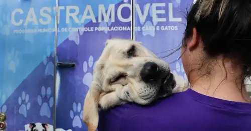 Imagem de destaque