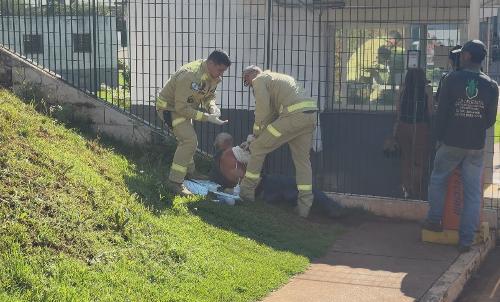 Imagem de destaque