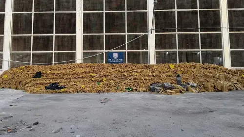 Imagem de destaque