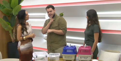 Imagem de destaque