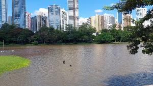 Imagem de destaque