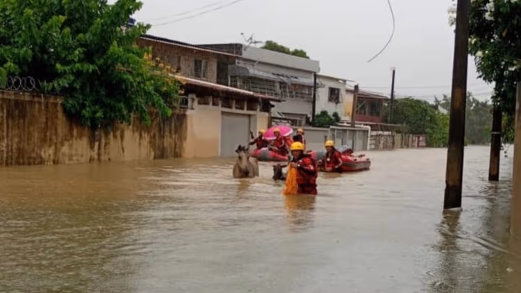 Imagem de destaque