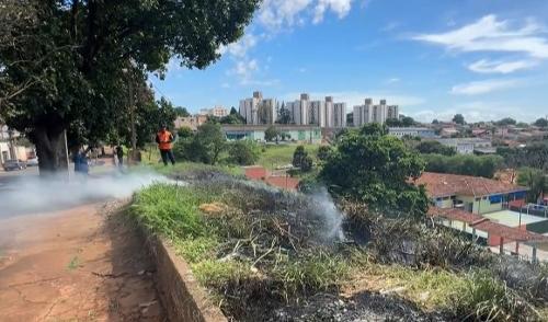 Imagem de destaque