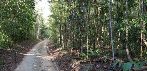 8ª Meia Maratona do Verde e das Águas