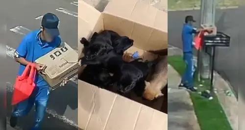 Imagem de destaque