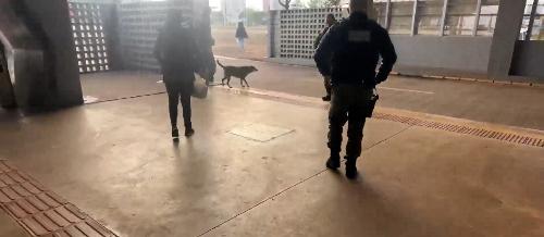 Imagem de destaque