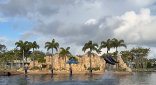 E A AVENTURA DE HOJE FOI NO SEA WORLD!
