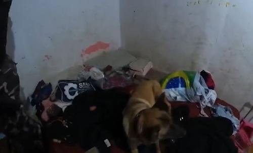 Imagem de destaque