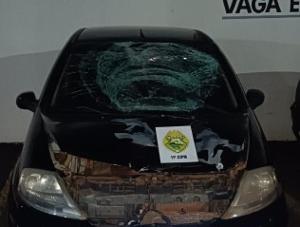 Imagem de destaque
