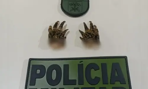 Imagem de destaque