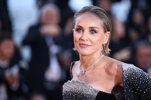 Sharon Stone diz que casamento acabou após ex rejeitar decisão de ela retirar as mamas