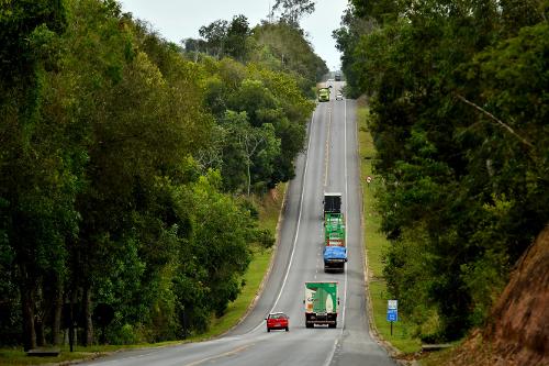 Trecho na BR 101 Norte que corta a Reserva do Sooretama