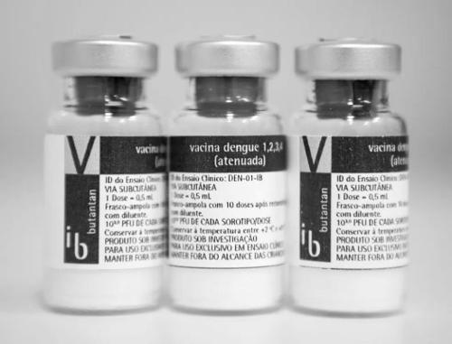 Vacina da dengue do Butantan