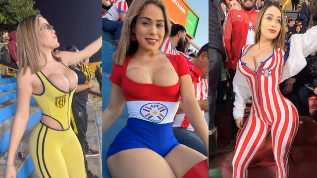 Imagem de destaque
