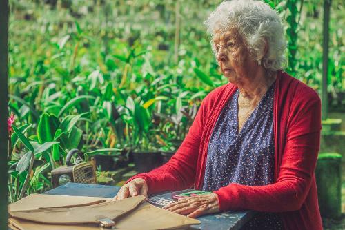 O filme conta a história de Lúcia, que foge de um asilo e busca refúgio em um orquidário em Venda Nova