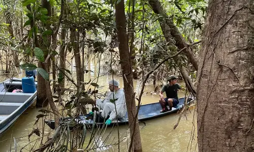 Imagem de destaque