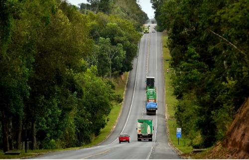 Trecho da BR 101 Norte na reserva de Sooretama