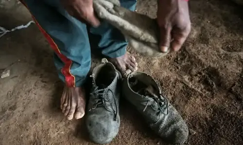 Imagem de destaque