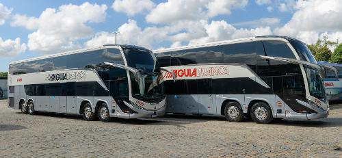 Grupo Águia Branca