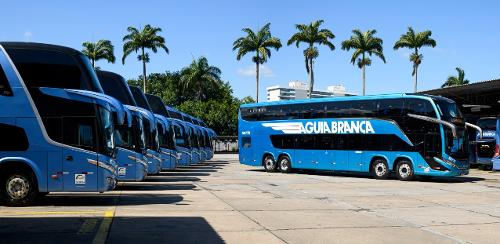 Branded Águia Branca 80 anos