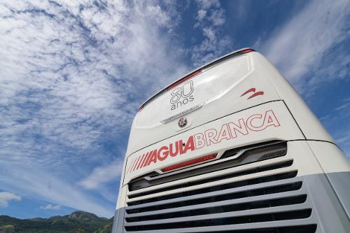 Branded Águia Branca 80 anos
