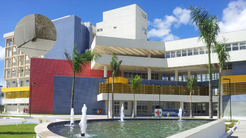 Rato é encontrado dentro de maternidade do Hospital Jayme Santos Neves, na Serra