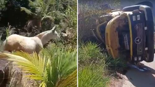 Acidente aconteceu na manhã deste domingo (9), na zona rural da cidade