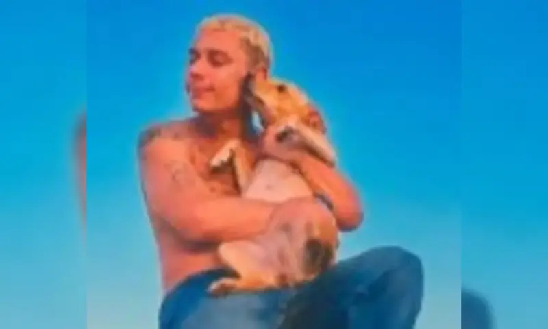 Imagem de destaque