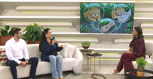 Imagem de destaque