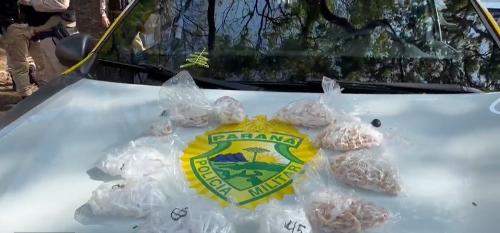 Imagem de destaque