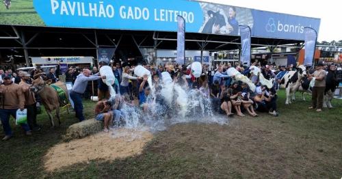 Imagem de destaque