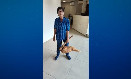 Imagem de destaque