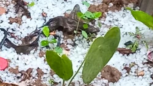 Chuva de granizo em Guaçuí