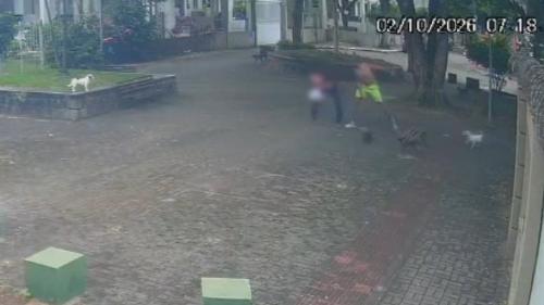 Vídeo mostra homem com neto no colo sendo agredido por vizinho na Mata da Praia