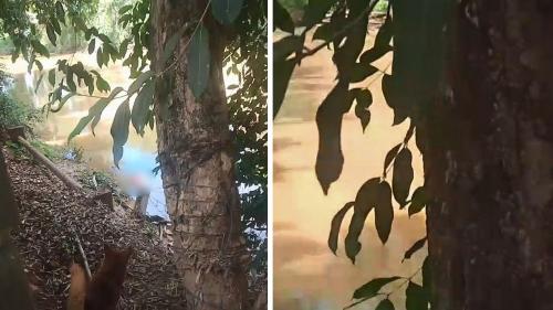 Corpo é encontrado às margens de rio em Castelo, no ES