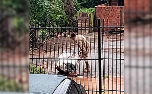 Imagem de destaque