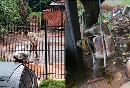 Imagem de destaque
