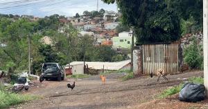 Imagem de destaque