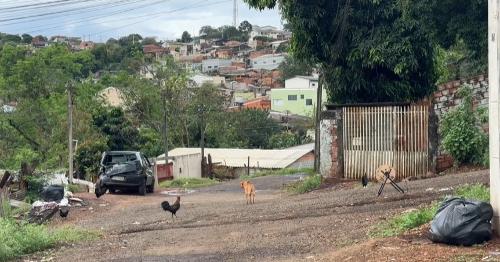 Imagem de destaque