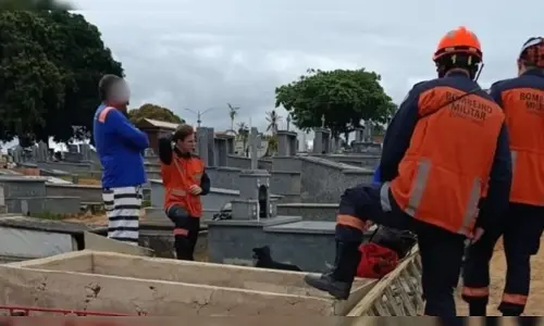 Imagem de destaque