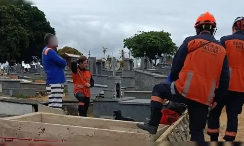 Imagem de destaque