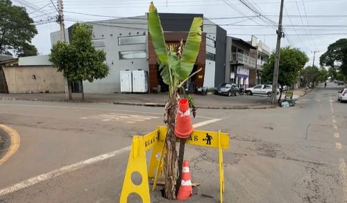 Imagem de destaque