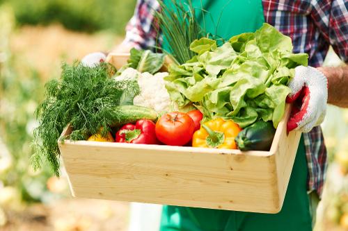 Produtos agrícolas, agricultura, verdura e legumes