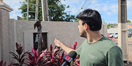 Imagem de destaque
