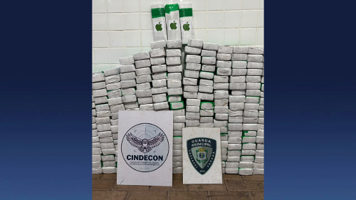 Imagem de destaque